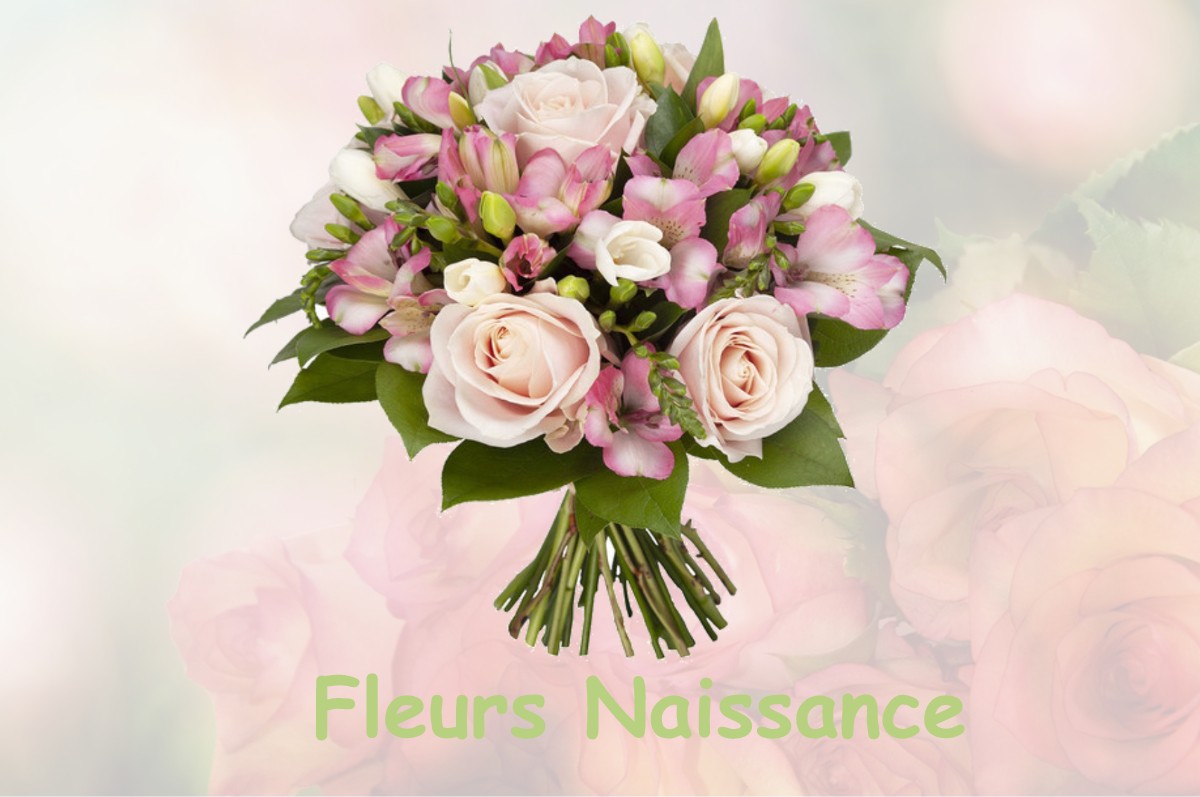 fleurs naissance BERSAILLIN