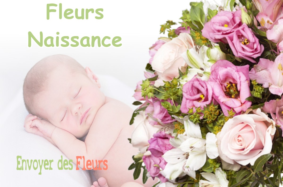 lIVRAISON FLEURS NAISSANCE à BERSAILLIN